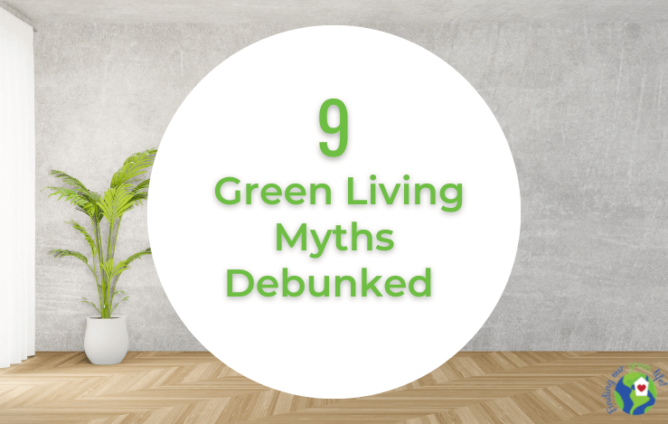 Can You Put Wood in Recycle Bin? Debunking Myths!